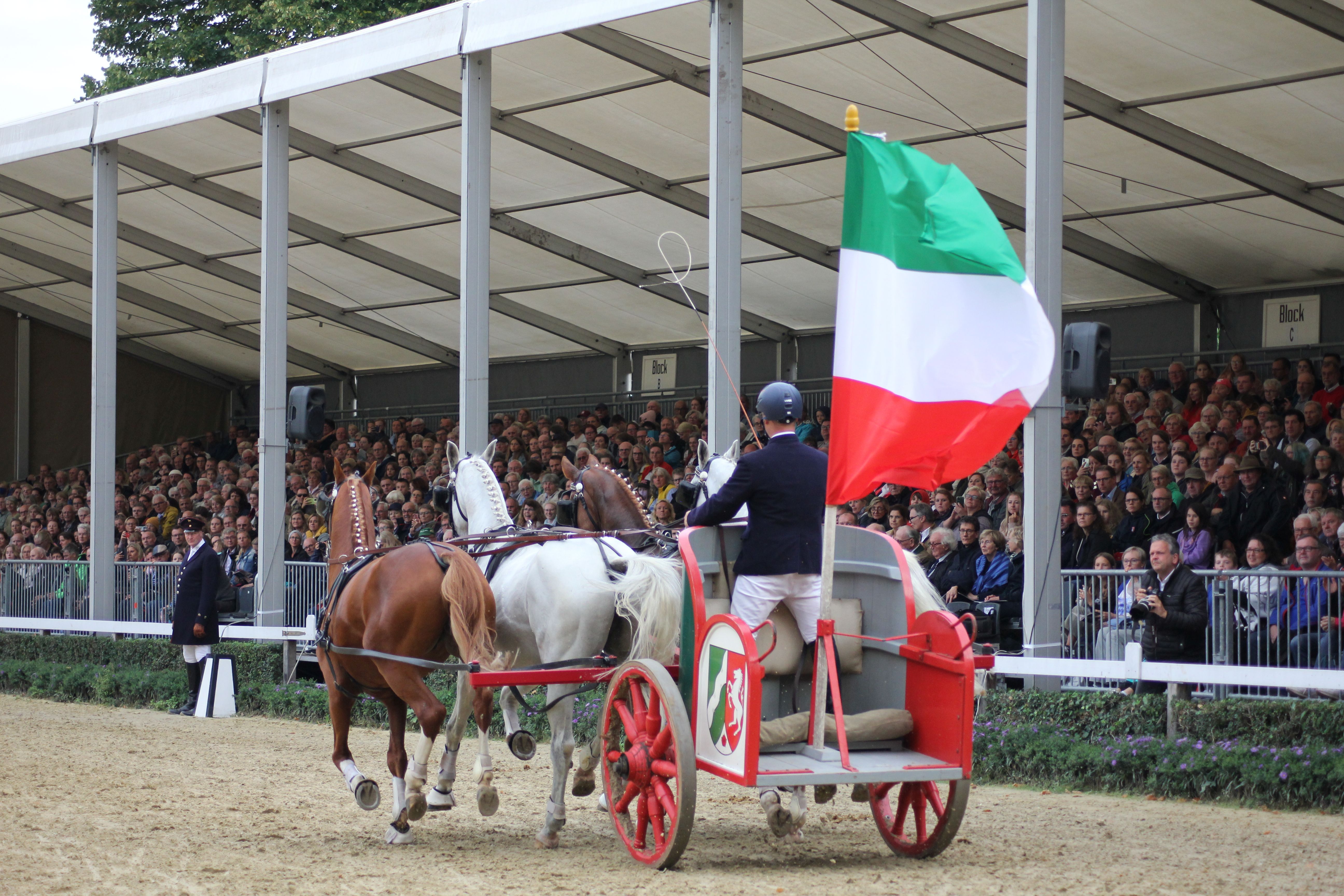 Warendorfer Hengstparade