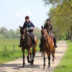 Ausritt rund um Warendorf