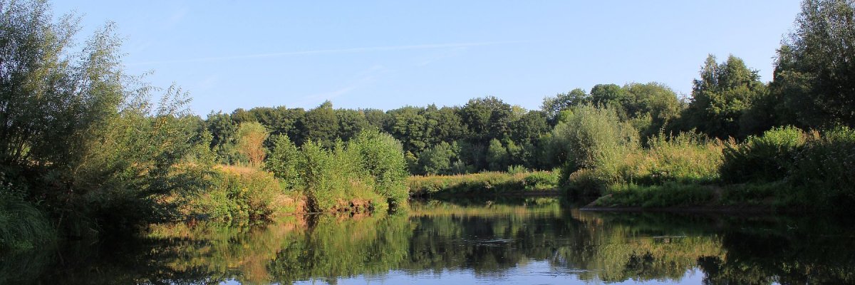 Blick auf die renaturierte Ems