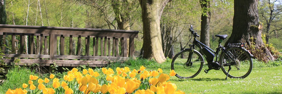 Emsseepark mit Tulpen und Ebike