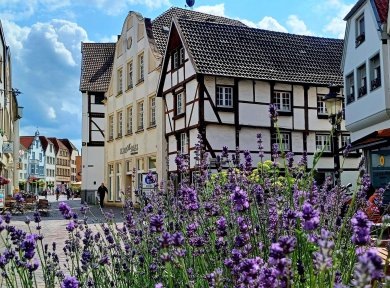 Blick in die Emsstrasse auf Fachwerkhäuser
