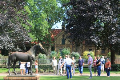 Führung Landgestüt