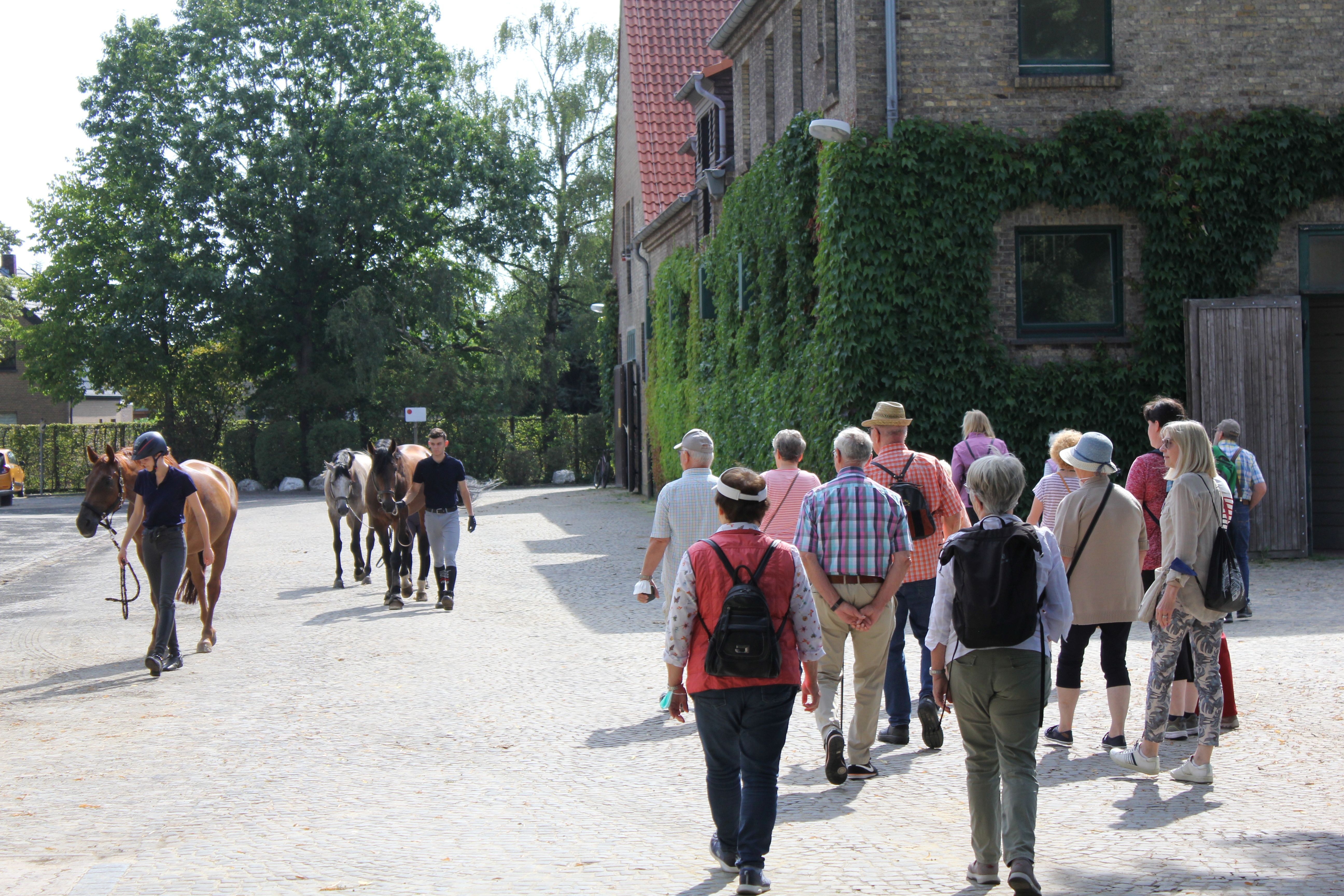 Führung Landgestüt