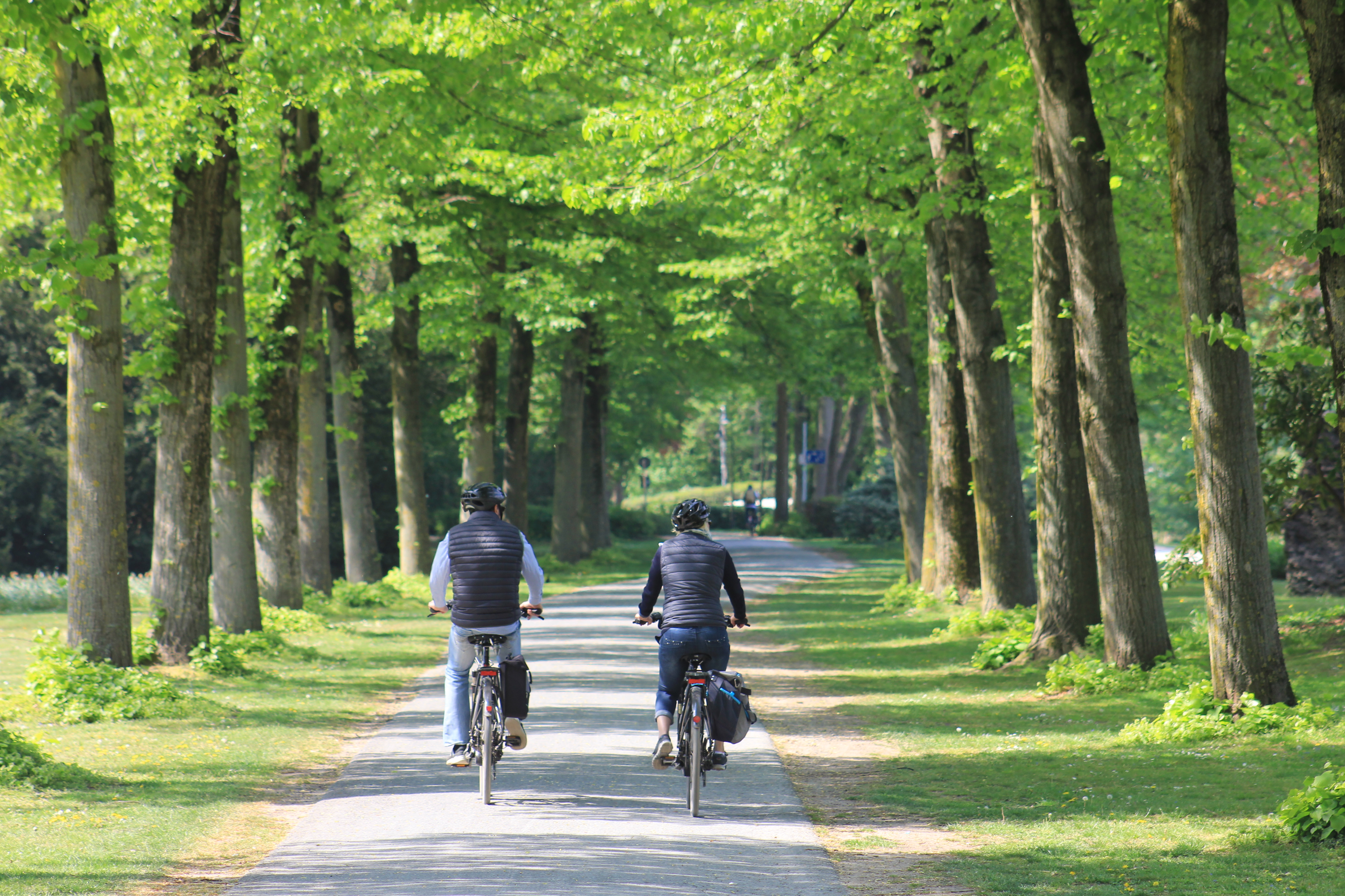 Radfahrer im Emsseepark