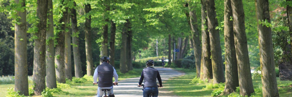 Radfahrer im Emsseepark