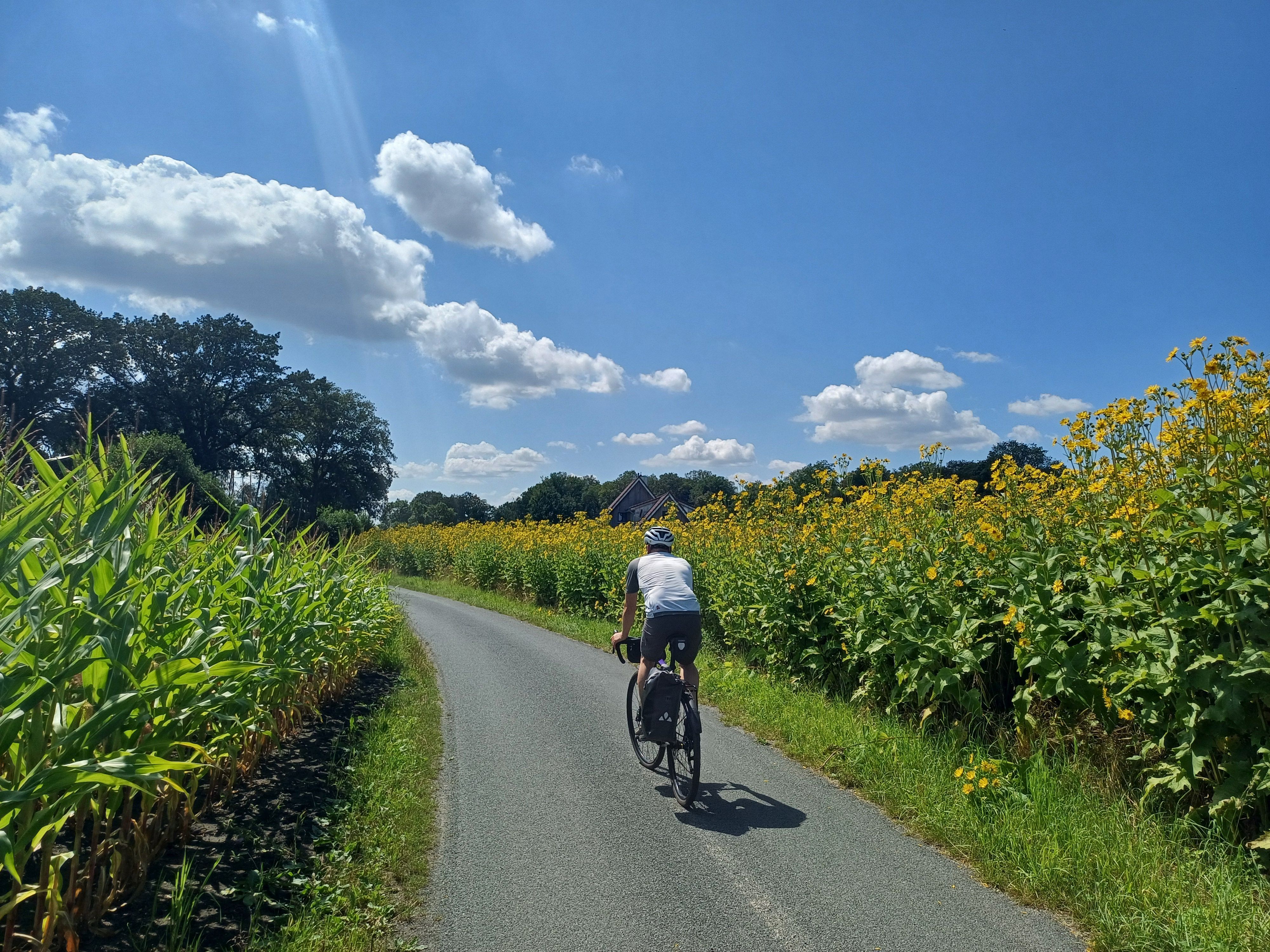 Titelbild Broschüre Radfahren 2025