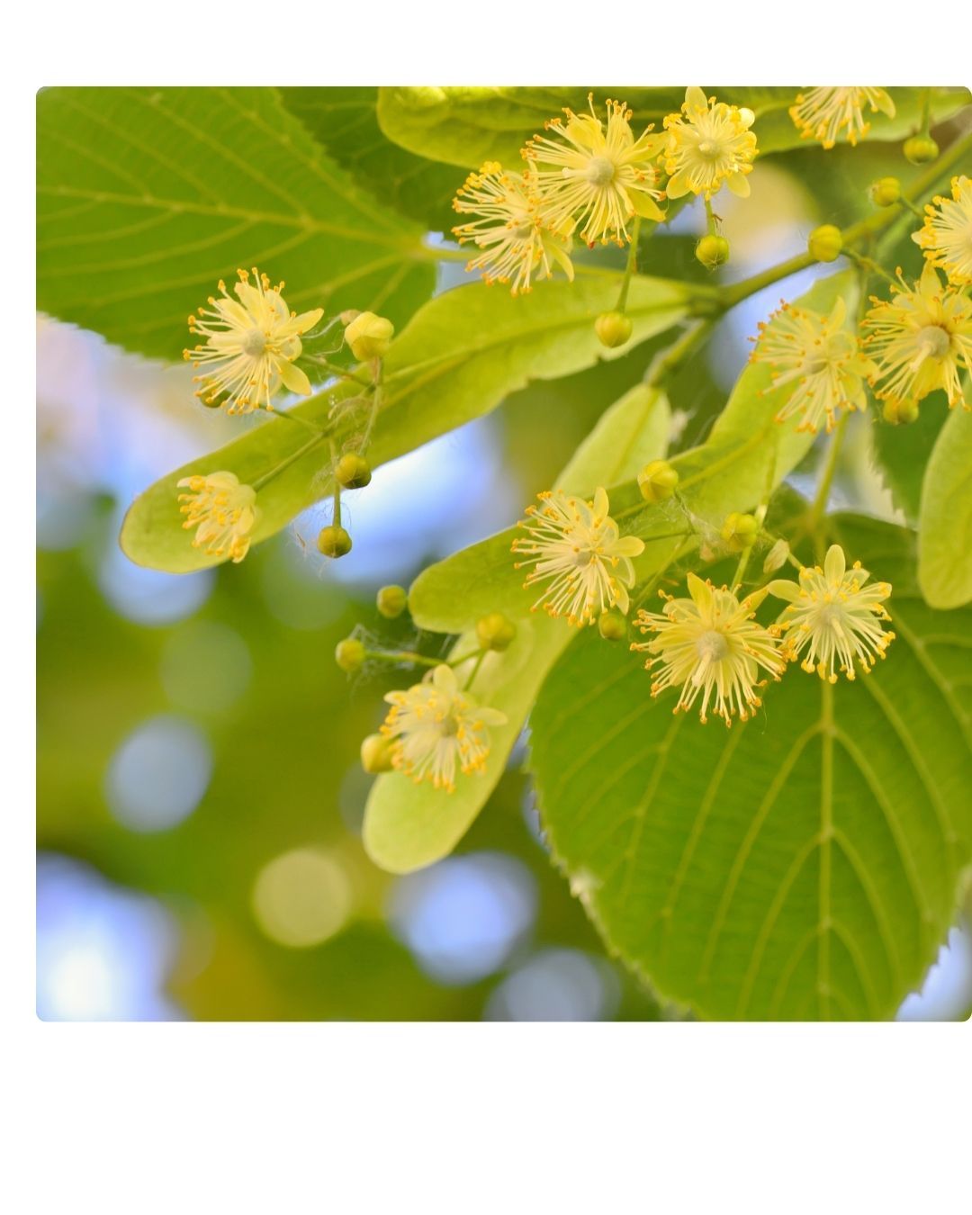 foto zurück zur natur - 4 foto zurück zur natur - 4