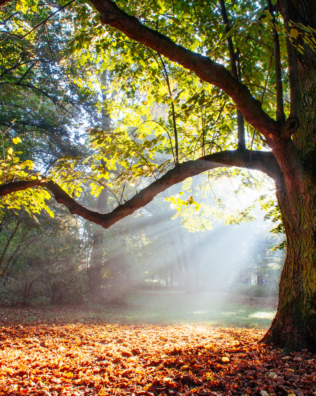 Design ohne Titel - 3 Design ohne Titel - 3