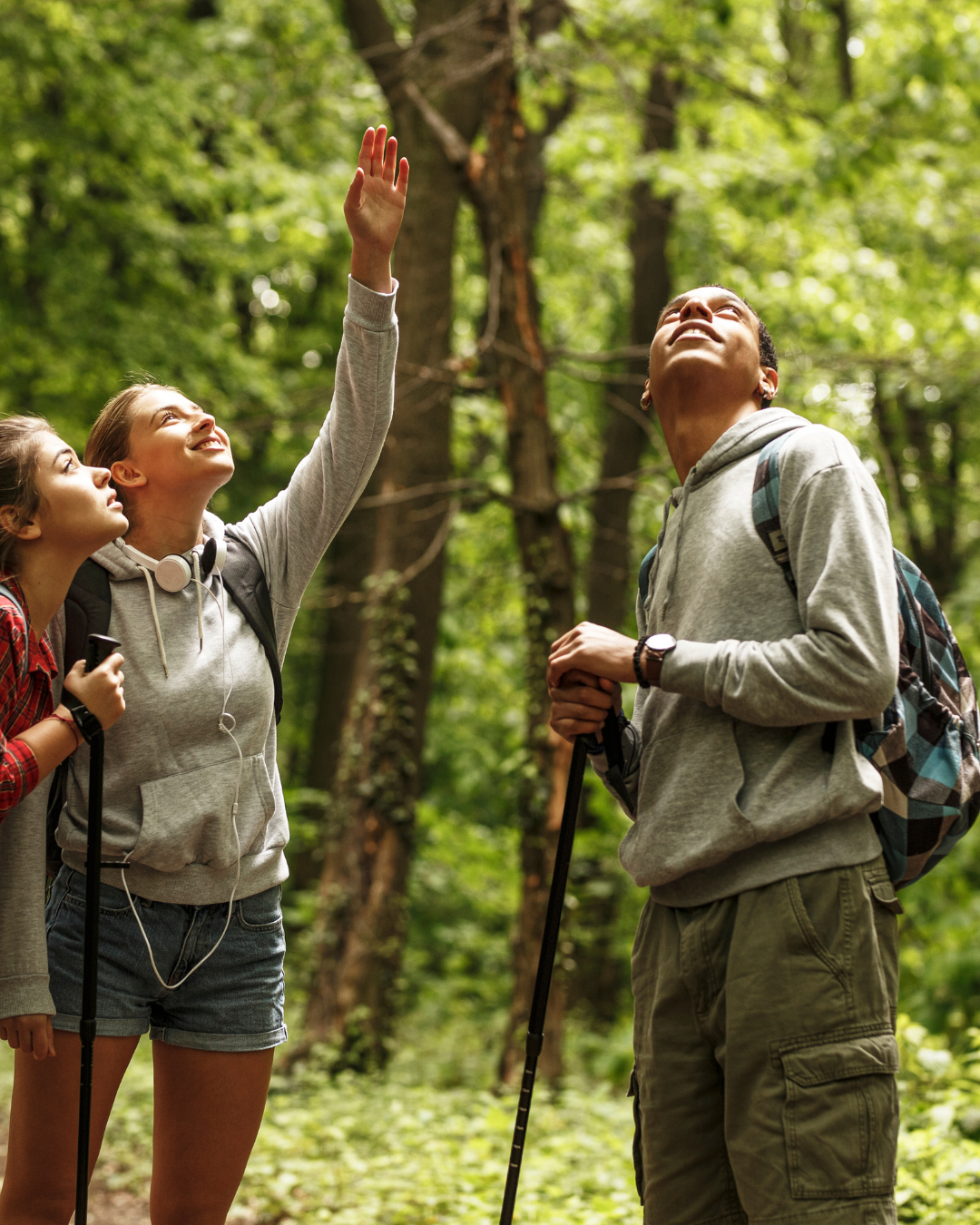 Design ohne Titel - 1 Design ohne Titel - 1