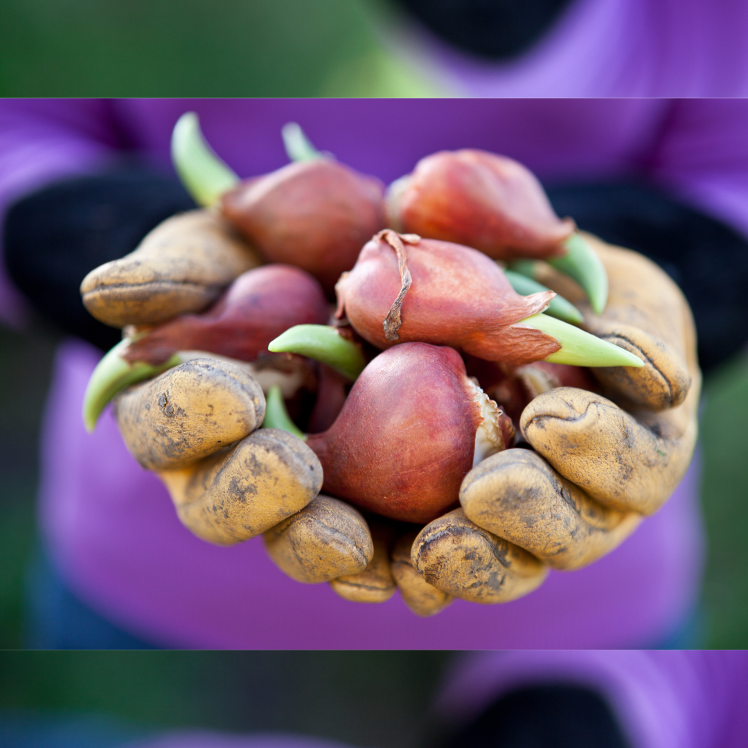 Design ohne Titel - 1 Design ohne Titel - 1