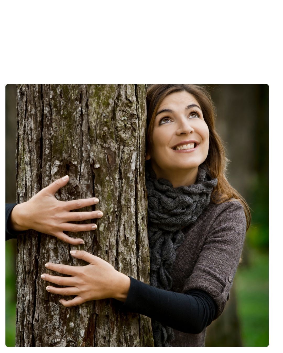 foto zurück zur natur - 3 foto zurück zur natur - 3