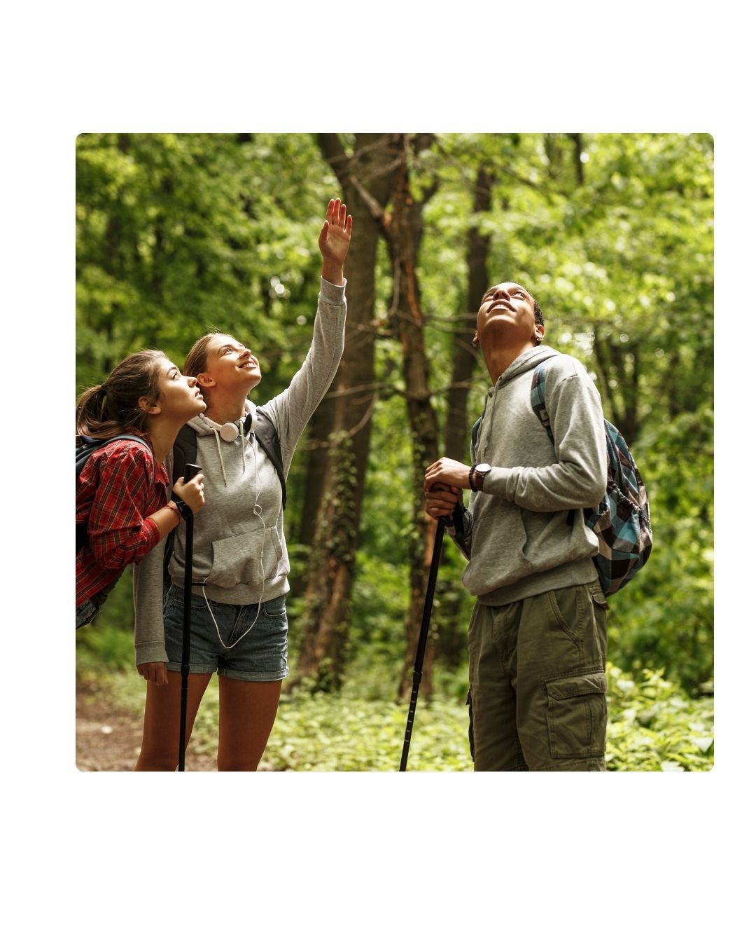 foto zurück zur natur - 1 foto zurück zur natur - 1
