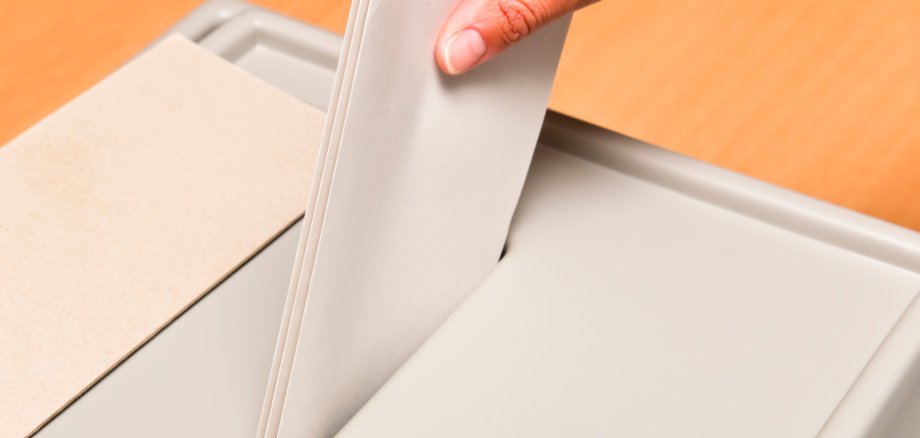 Wahlbilder - 2 Wahlbilder - 2