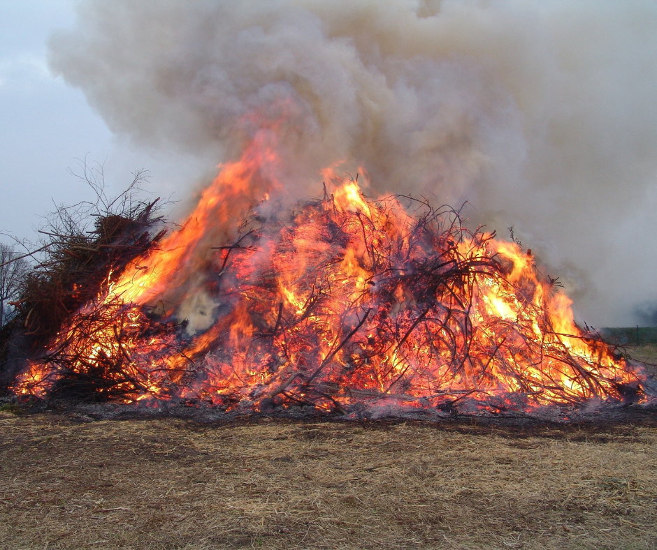 Design ohne Titel - 1