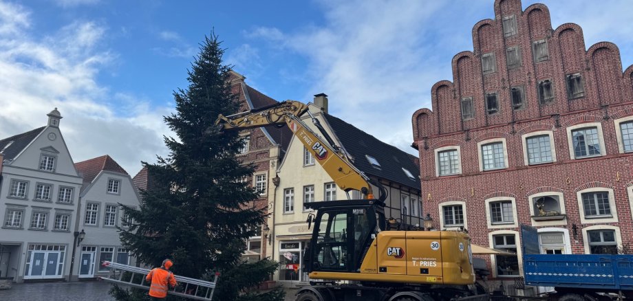 Aufstellen des Weihnachtsbaums auf dem Marktplatz