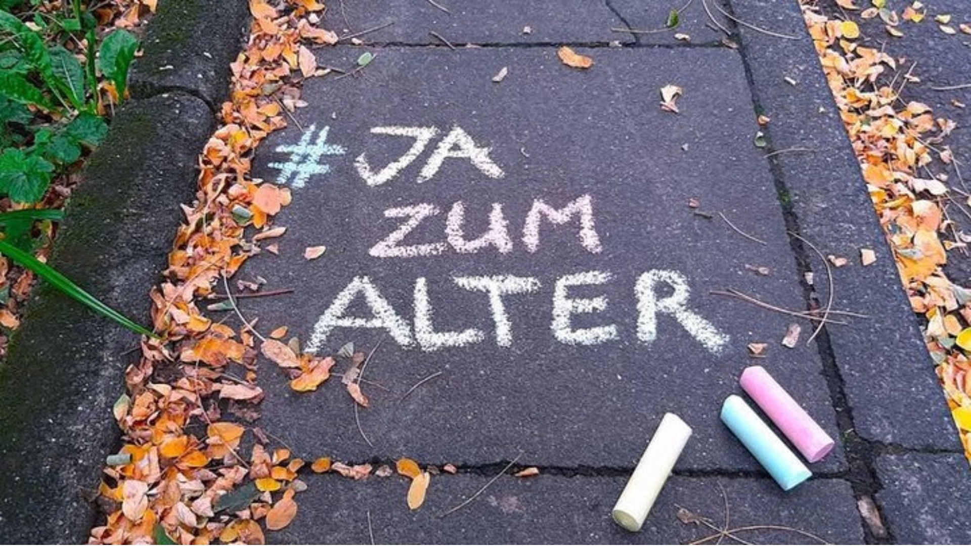 Weltaltentag Weltaltentag