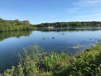 Blick auf den Feldmarksee in Sassenberg
