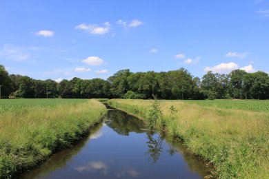 Blick auf die Hessel in Milte