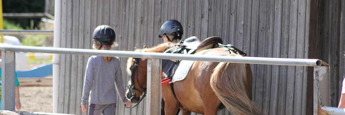 Kinder führen ein Pony