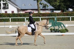 Reiterin auf Pony Dressur 