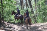 Reitroute7 2 Reiterinnen im Wald