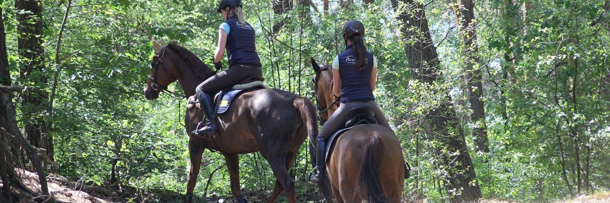 Reitroute7 2 Reiterinnen im Wald