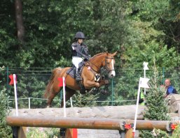 Springturnier_Vielseitigkeit