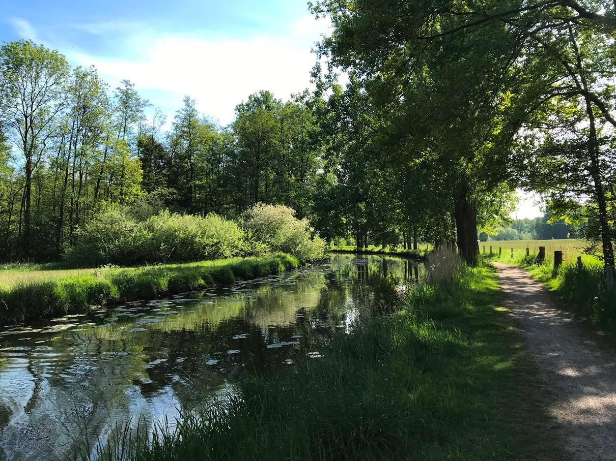 Symbolbild Klimaschutz