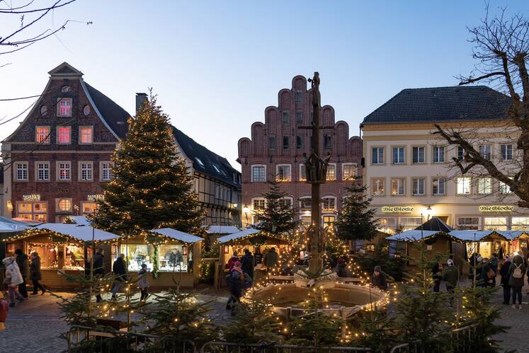 Das Warendorfer Weihnachtswäldchen findet vom 1.-17. Dezember auf dem Marktplatz statt.
