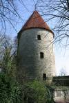 Der Bentheimer Turm