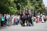 Die Warendorfer Pferdeprozession lockt alljährlich tausende Besucher an